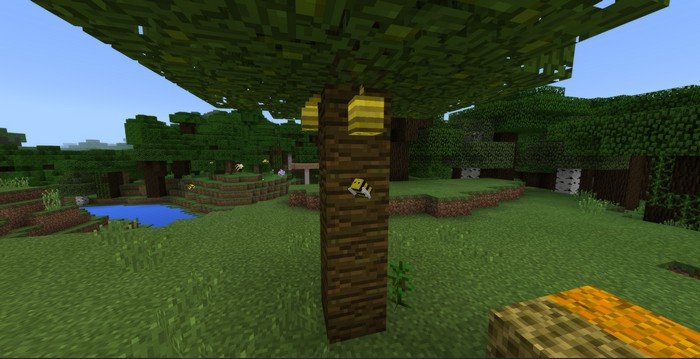 Pirates mod + map for Minecraft PE 1.0.8