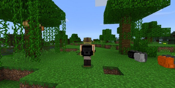 Backpacks Mod For Minecraft Pe 1 12 1