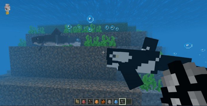 Capybaras Addon (1.20, 1.19) - MCPE/Bedrock Mod 