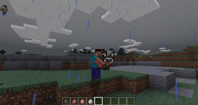 Download Carry Animals addon for Minecraft PE 1.14.60