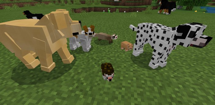 Domestic Pets Addon For Minecraft Pe 1 16 10