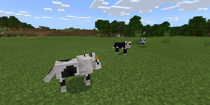 More Wolves addon for Minecraft PE 1.16.1