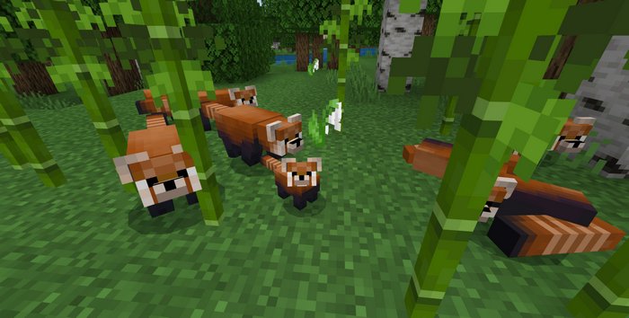 Red Pandas addon for Minecraft PE 1.16.10