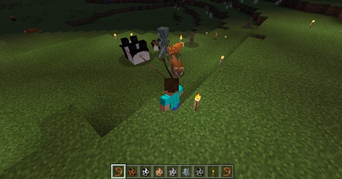 Camel mod for Minecraft PE 1.0.8