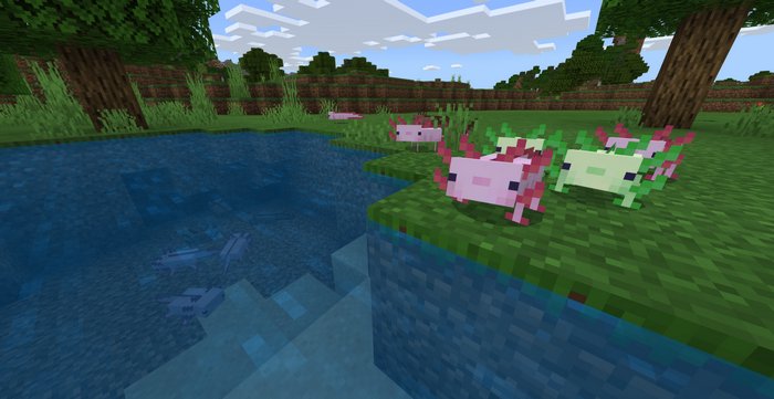 Axolotl Addon For Minecraft Pe 1 16 40