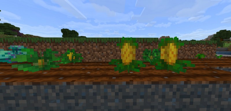 Pineapples growing in Minecraft