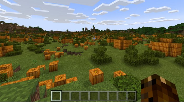 Pumpkin fields biome