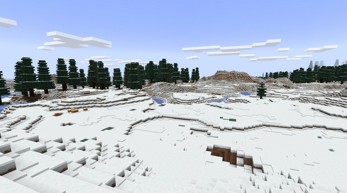 Snowy Forest biome