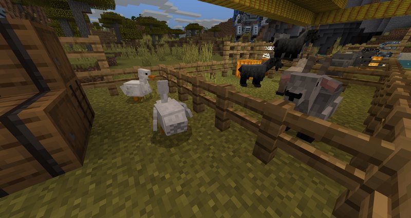 Download yFarm addon for Minecraft PE 1.19.11