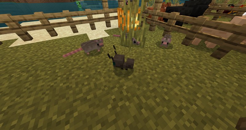 Download yFarm addon for Minecraft PE 1.19.11