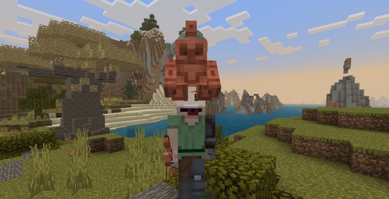 Copper Golem as a hat