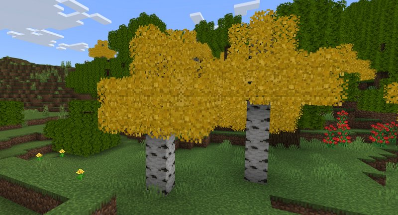 Yellow lush trees