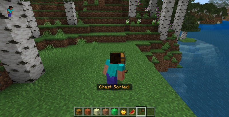 Minecraft Chest Sorting