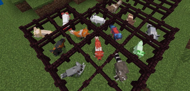 Taiga Additions Addon (1.19) - MCPE/Bedrock Mod 