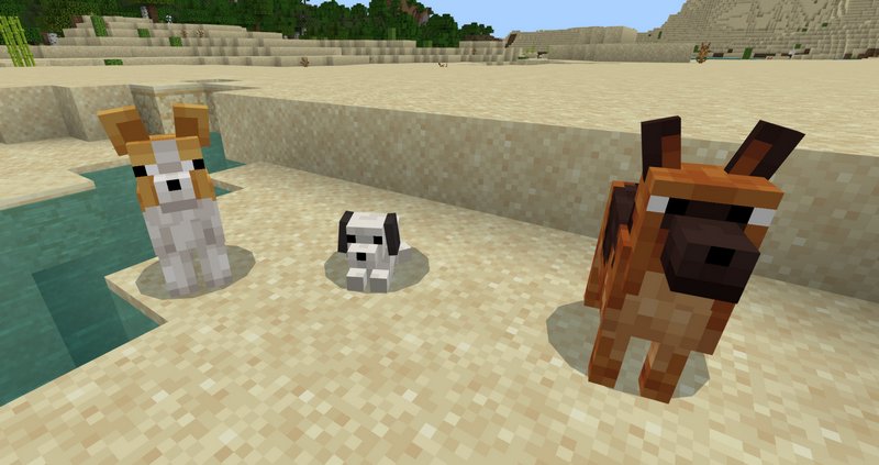 Domesticraft addon for Minecraft PE 1.19.11