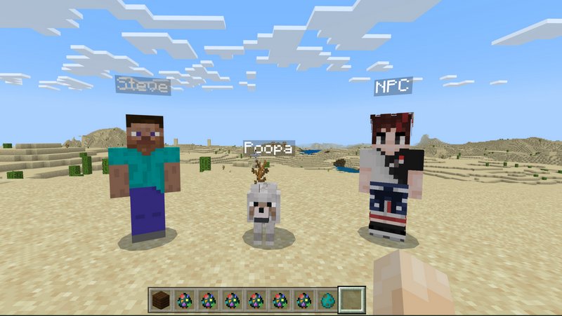 Is there a way to upload custom skins for the npcs? : r/Minecraft