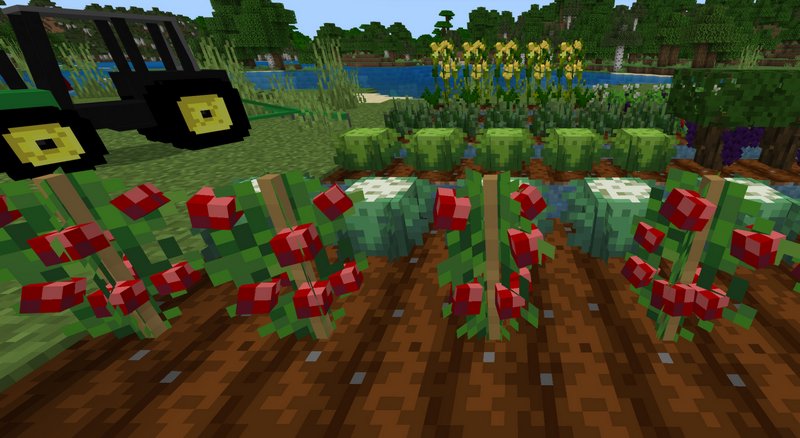 Download yFarm addon for Minecraft PE 1.19.11