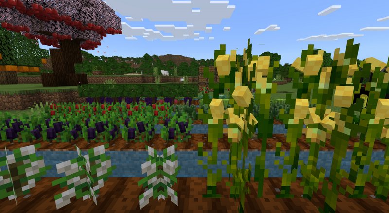 Download yFarm addon for Minecraft PE 1.19.11