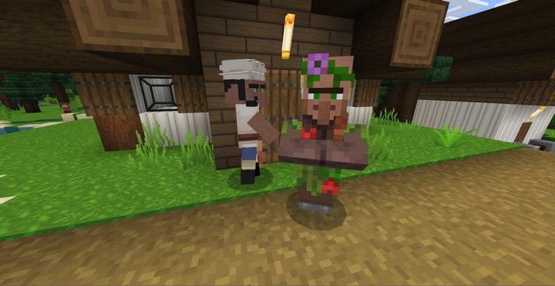 More Villager Professions addon