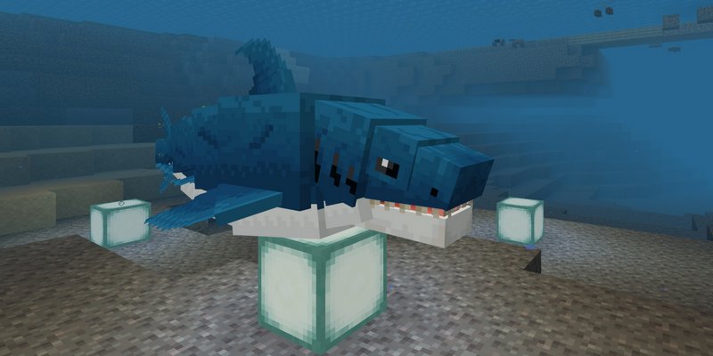 Great white shark addon for Minecraft PE 1.20.41