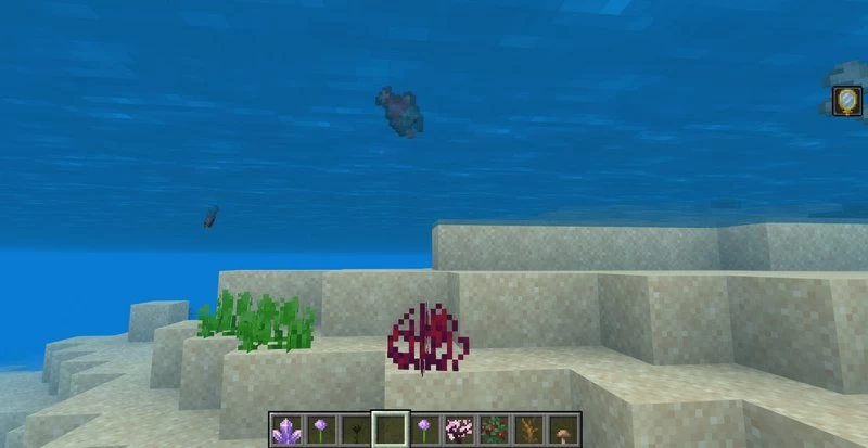 You can turn into a coral and hide underwater