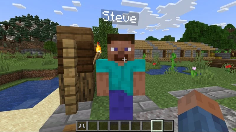 Steve