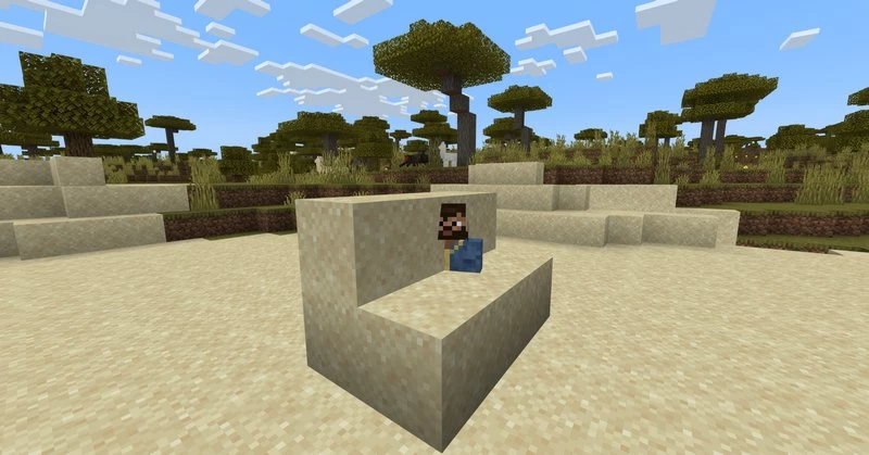 A player phased into a block of Sand